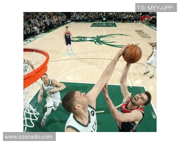 布鲁克洛佩斯的篮球之路与职业生涯成就回顾