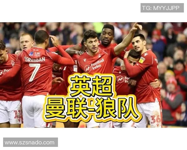 曼联与狼队精彩对决完整视频回顾及赛后分析